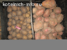 Картофель,свекла.