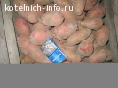 Картофель,свекла.