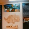 paleo-06