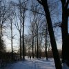 IMGP4426