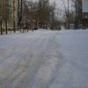 IMGP7284
