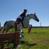serkon2019-63