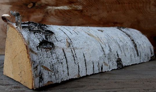 Дикие люди. Из сводок прокуратуры