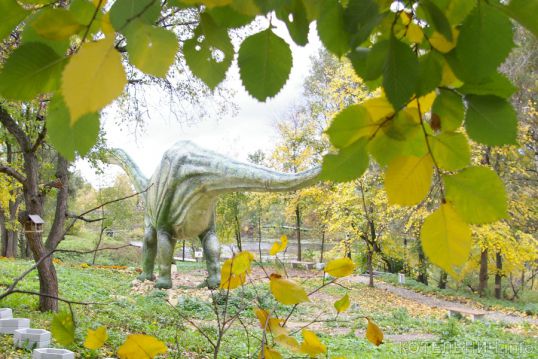 Фестиваль &laquo;Сто дорог&raquo;