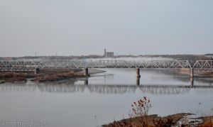 Осень. Пятьдесят оттенков серого