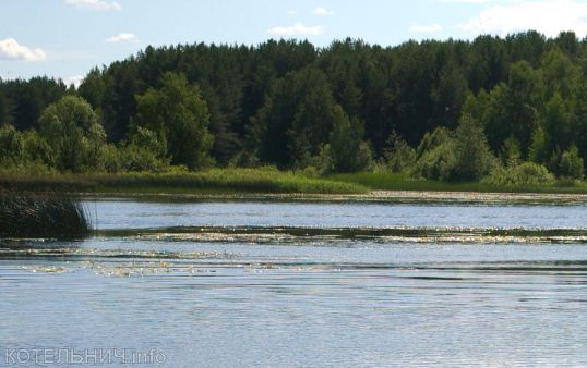 &laquo;Отелло&raquo; может сесть на 15 лет