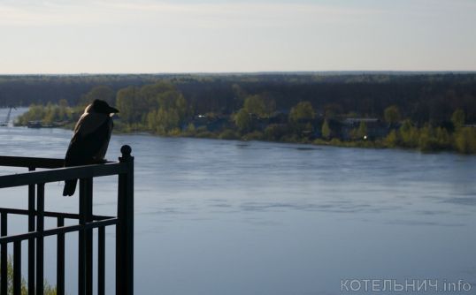 Падает