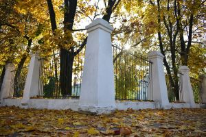 В городе осень...