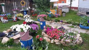 Макарьевская красота