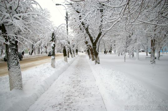 Между молотом и наковальней