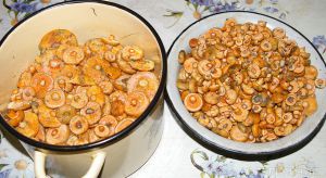 Где-то в окрестностях Котельнича