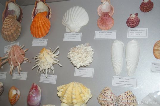 Ему позавидовал бы капитан Немо