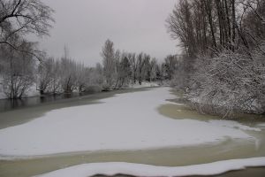 В прошлом году в «Нургуше» изъяли 9 километров сетей