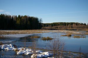 Зимы ждала, ждала природа…