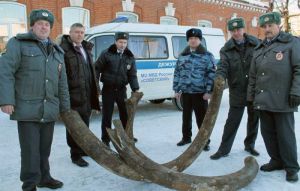 ОБЛАСТЬ.info