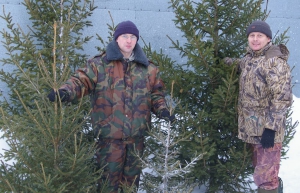 Новогоднюю красавицу уже можно купить