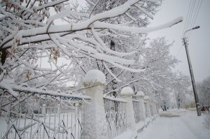 Котельнич сегодня