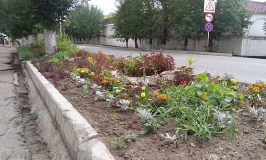 Клумба...