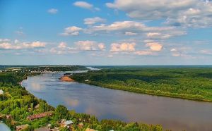 МегаФон помогает сохранять леса Котельничского района