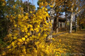 Тепло изнутри и снаружи
