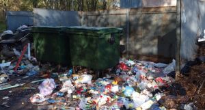 Кто должен прибираться в пределах контейнерной площадки? #Народные новости