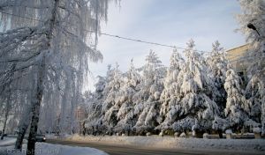 Что нам ждать в Новом году