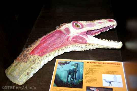 Легенды оживают в палеонтологическом музее
