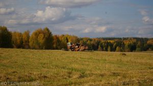 Нивы сжаты...