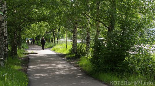 За травку 200 тысяч