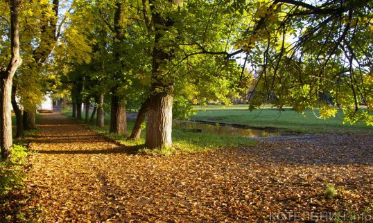 Котельнич сегодня