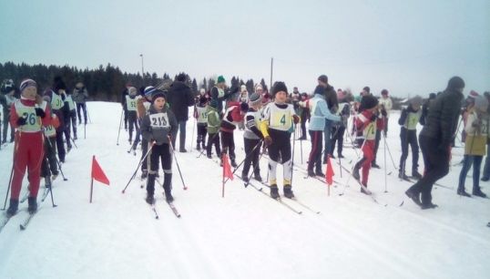 Итоги массовых соревнований "Лыжня России" в Котельничском районе