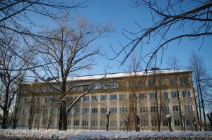 «Меломану» дали полтора года