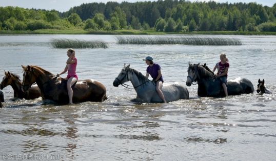 Купание лошадей на конеферме агрофирмы &quot;Колхоз Путь Ленина&quot;