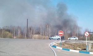 Пожар на пилораме