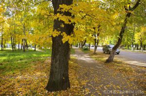 Осень. Хотелось бы погорячее