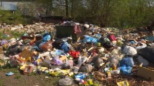Затон буквально утонул в мусоре. Репортаж ГТРК &quot;ВЯТКА&quot;