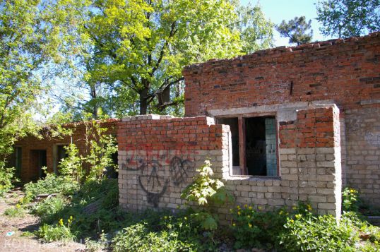 «Неграфские» развалины должны снести
