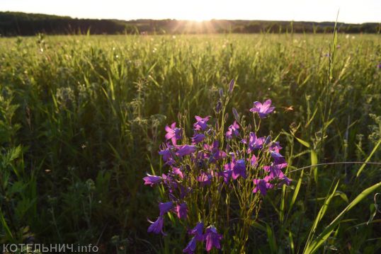 Наслаждаемся теплом