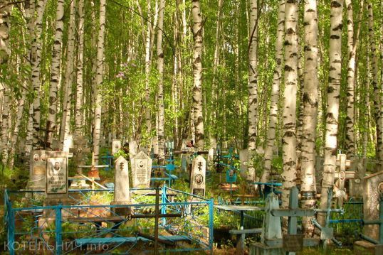 Задержаны похитители оградок