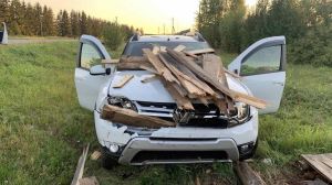В Копылах &quot;Дастер&quot; наехал на сарай