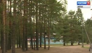 В Вишкиле начала работу летняя многопредметная школа