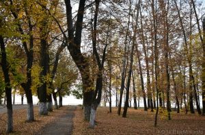 Утро на Верхней площади