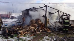 В огне погиб поросенок