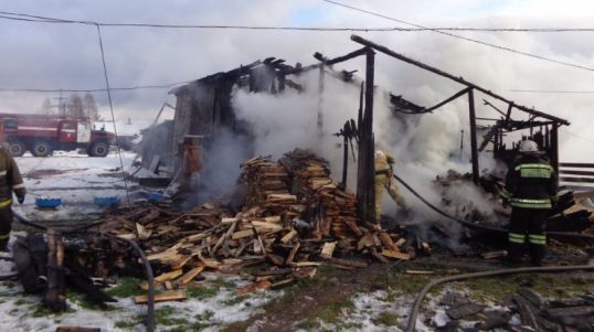 В огне погиб поросенок