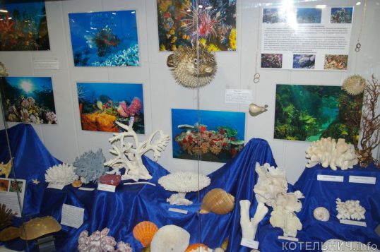 Конхиофилия &mdash; это прекрасно