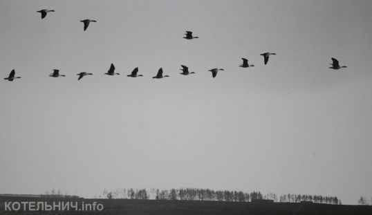 &laquo;Котельнич: годы и люди&raquo; - проект продолжается