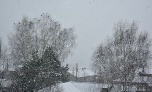 Зима осторожно подкралась и белой порошею...