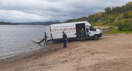 В Вятку выпустили более 30 тысяч мальков стерляди