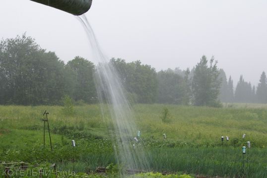 Картошкина радость