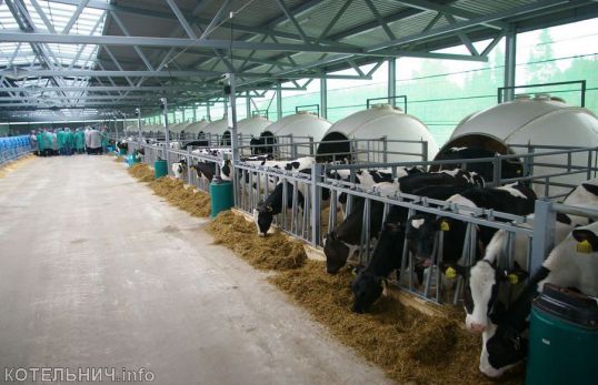 Алексей Котлячков посетил Котельничский район